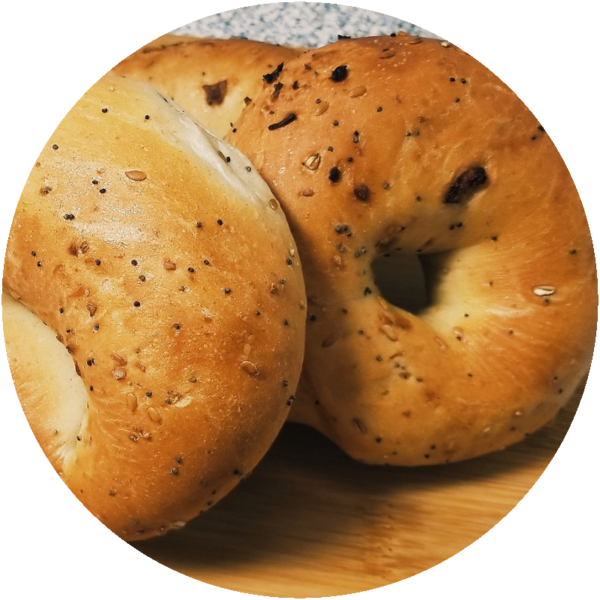 Bagel, Everything • Harvest Bakery & Deli